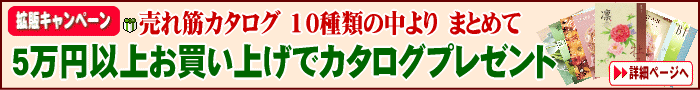�J�^���O�M�t�g�v���[���g�L�����y�[��