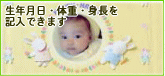 出産内祝い用写真のし