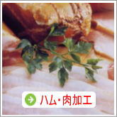 ハム・肉加工ギフト