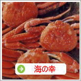 海の幸ギフト