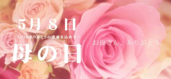 ��̓��M�t�g�@���ꂳ�񂠂肪�Ƃ�