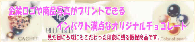 �L�O�i�Ƀv�����g�`���R���[�g
