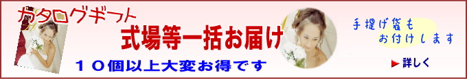 ���ꓙ�Ɉꊇ�Ŏ������ޏꍇ�͑�ς����ł�