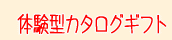 �̌��^�̃J�^���O�M�t�g