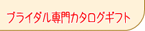 �u���C�_����p�J�^���O�M�t�g