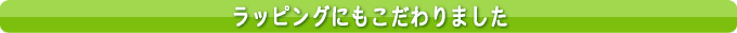 ���j���E�o�Y���j���E�J�^���O�M�t�g���b�s���O�ɂ��������܂���