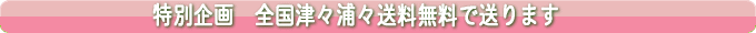 ���j���E�o�Y���j�����ʊ��M�t�g�@�S����������
