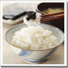 お中元海苔・お茶漬けギフトページへ