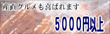 �V���f�B�̂������T�Q�T�O�~�ȏ�